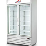 two door freezer manufacturers